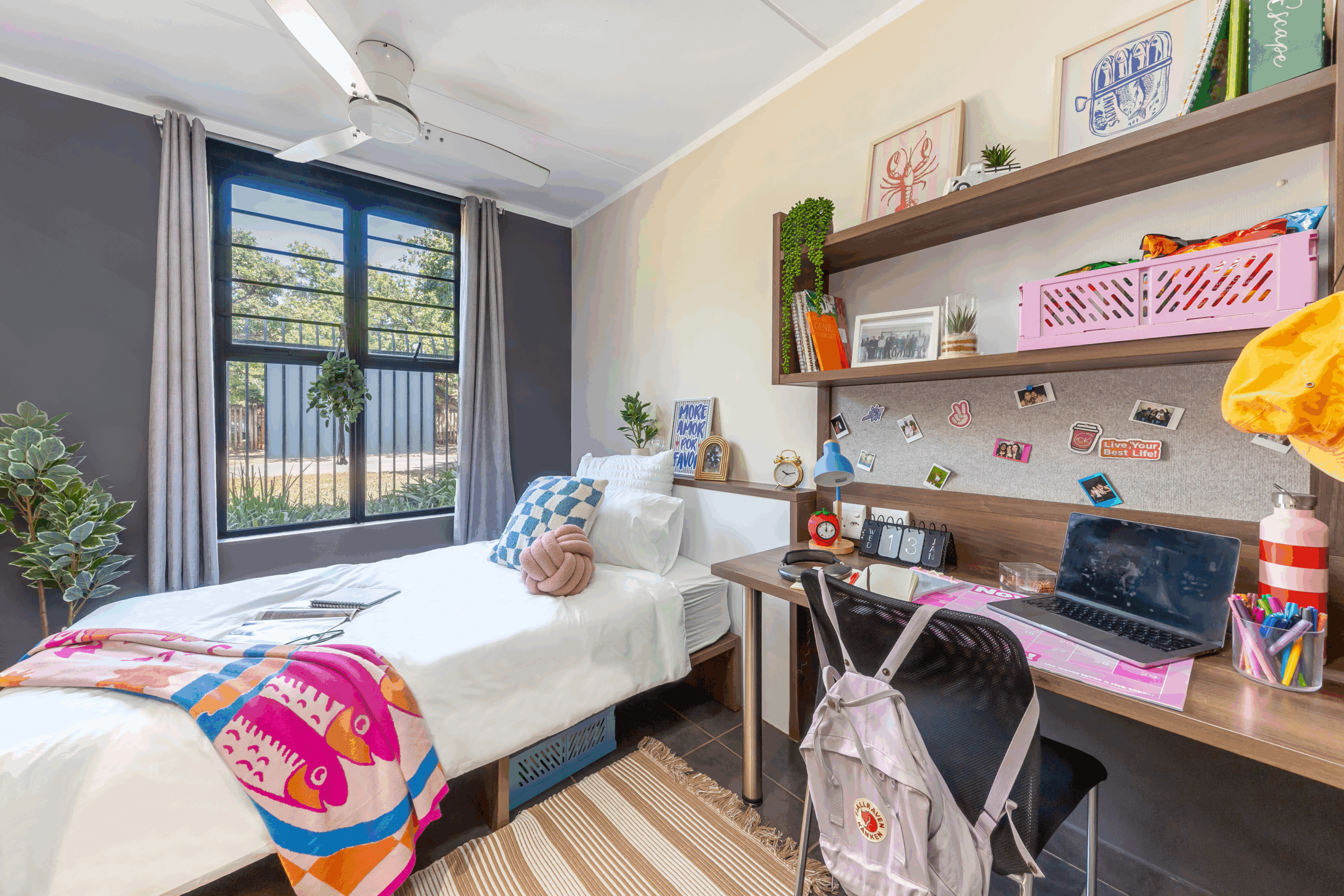 <span>Socializer</span> Two